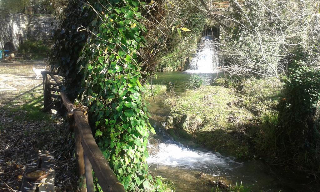 L'Antica Mola Villa Castel Madama Rom bilde