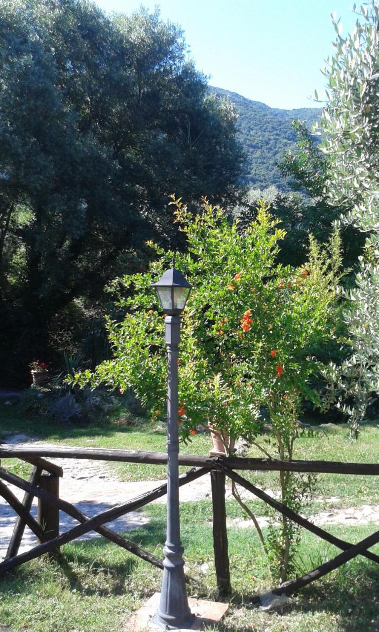 L'Antica Mola Villa Castel Madama Eksteriør bilde